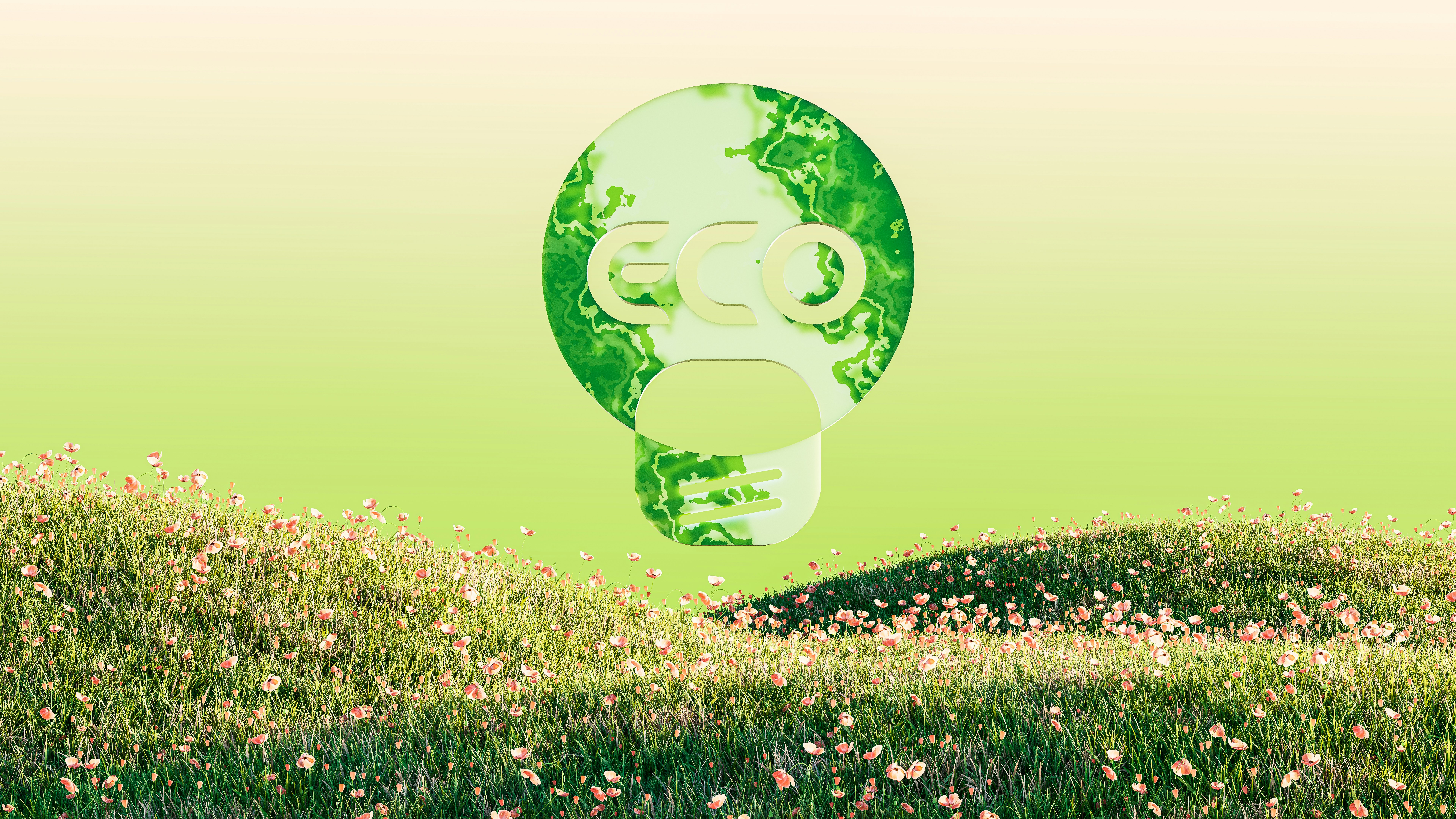 Our Eco-Friendly Approach