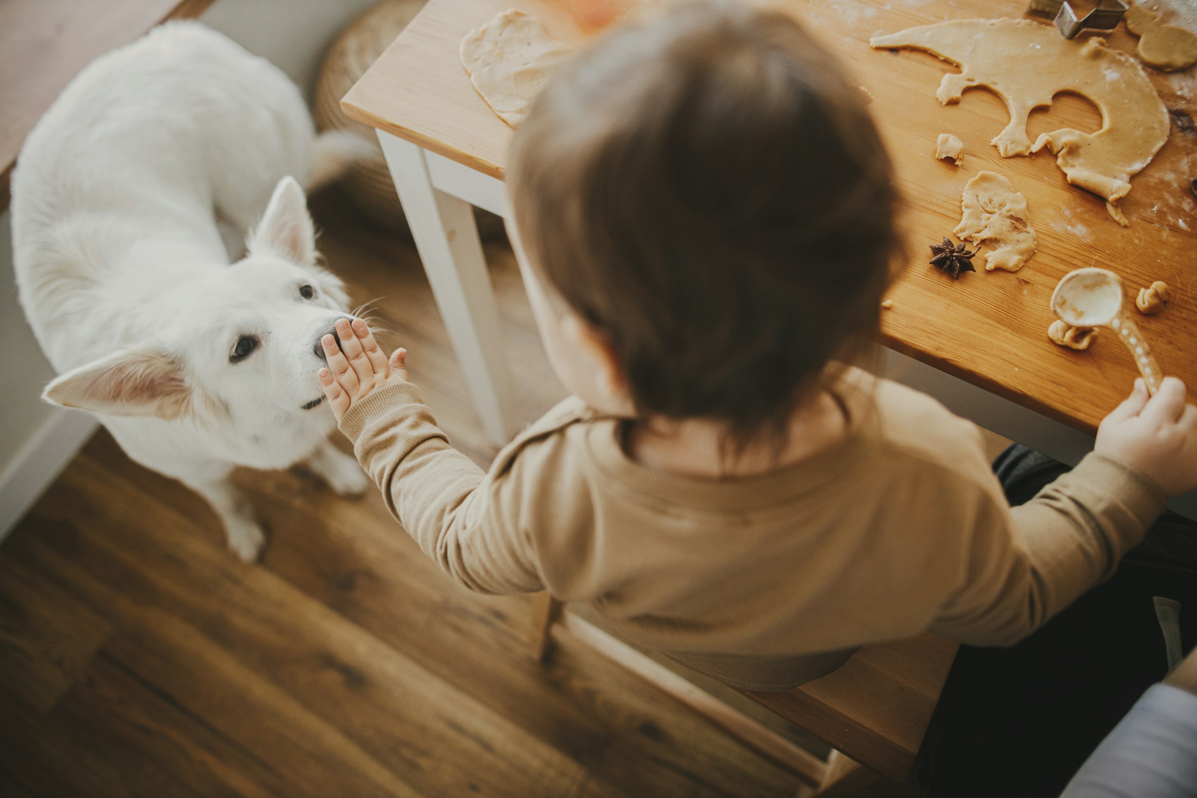 Safe for children, pets, and sensitive environments
