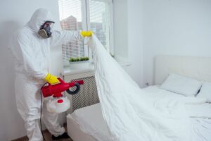 Pest Control Solutions