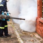 Pest control treatment