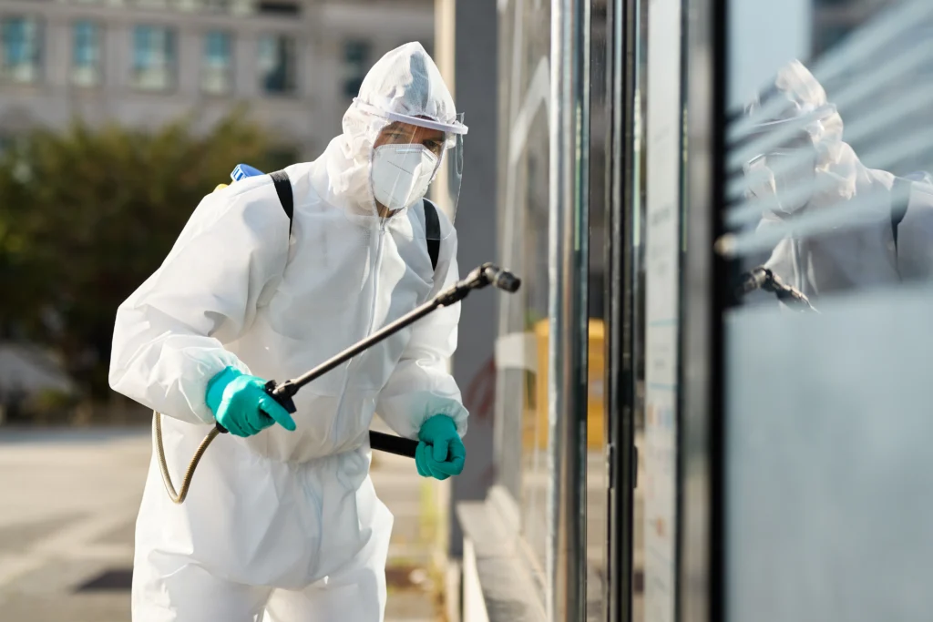 bed bug treatment