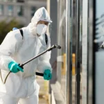 bed bug treatment