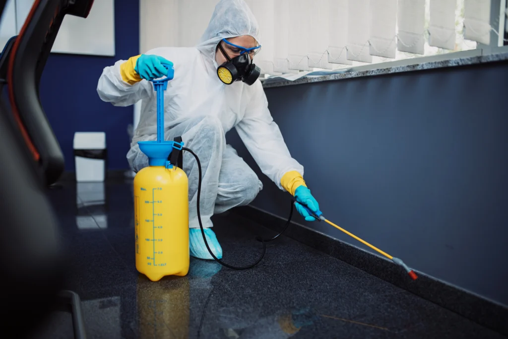 termite pest control