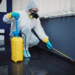 termite pest control