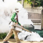 Mosquito Control